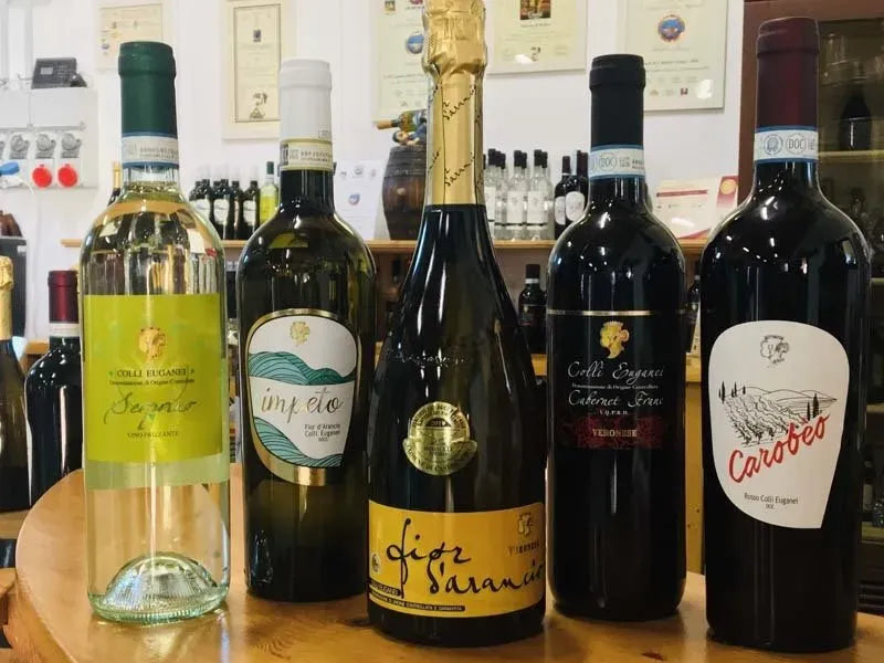 gamma vini cantina veronese